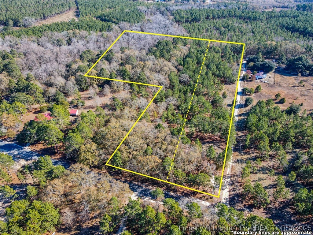 East Lake Road Wagram, NC 28396 - Photo 3 of 26 Gallery Image 3