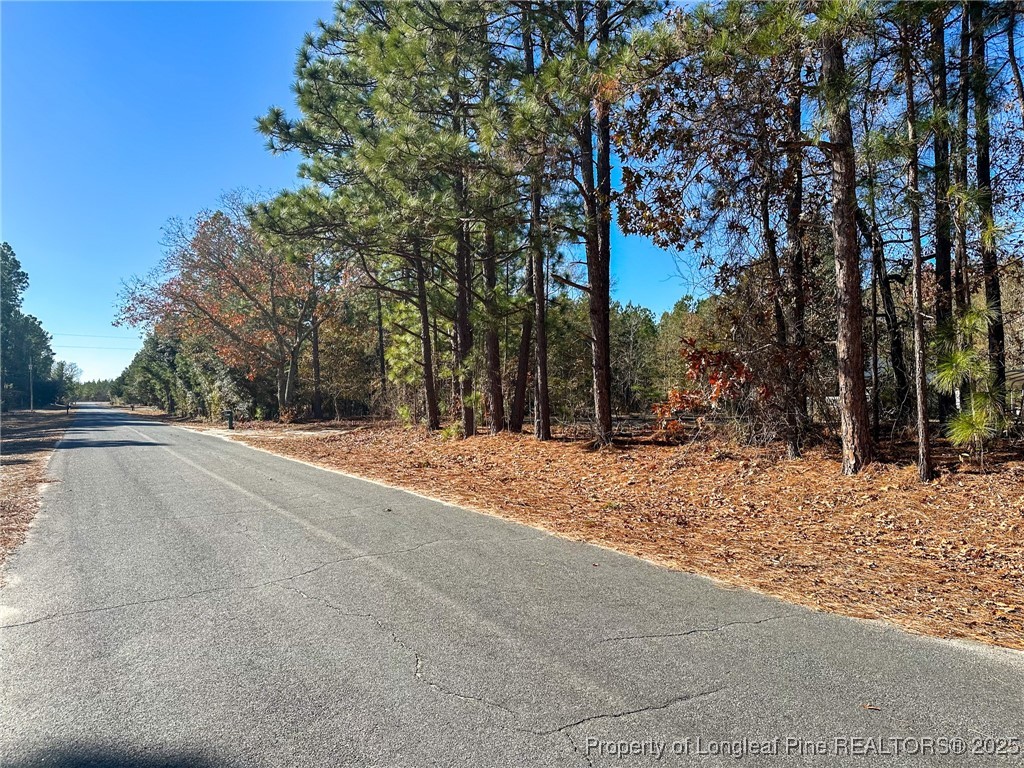 East Lake Road Wagram, NC 28396 - Photo 4 of 26 Gallery Image 4