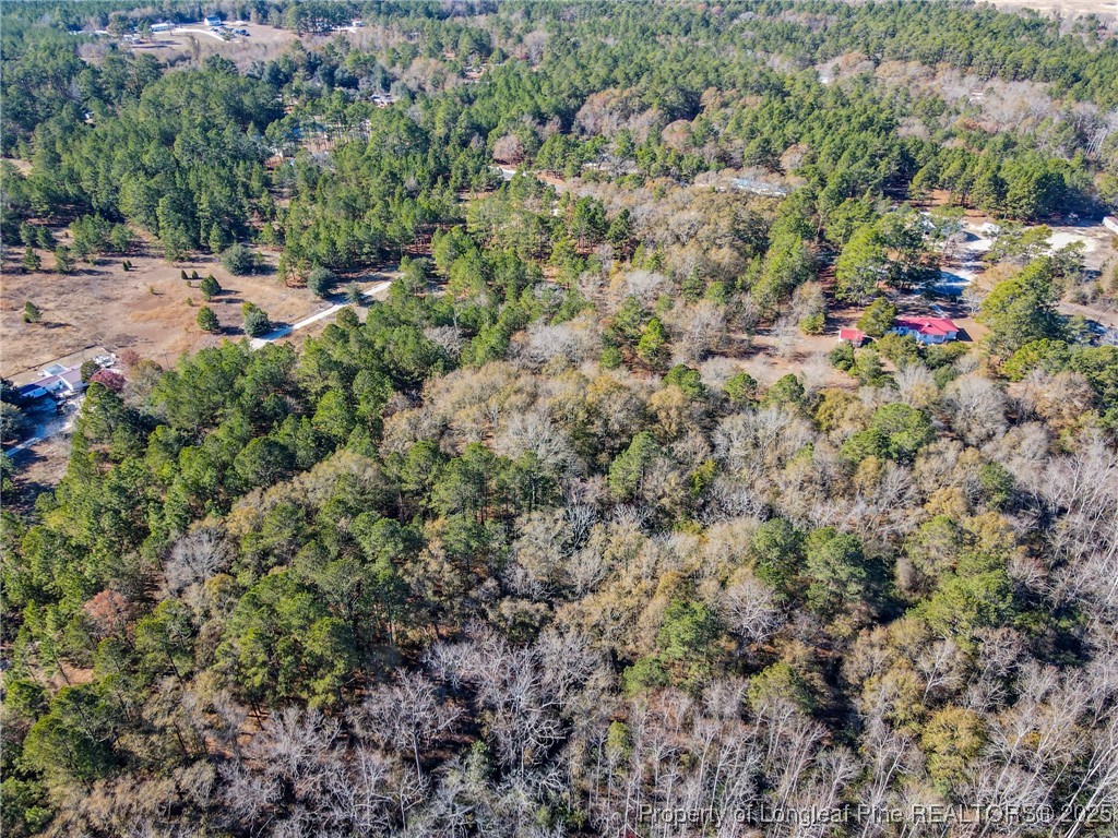 East Lake Road Wagram, NC 28396 - Photo 9 of 26 Gallery Image 9