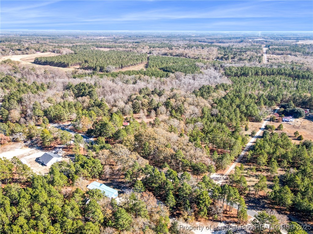East Lake Road Wagram, NC 28396 - Photo 10 of 26 Gallery Image 10
