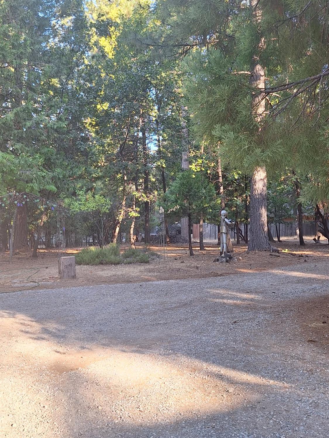 5695 Juarez Road Pollock Pines, CA 95726 - Photo 27 of 28