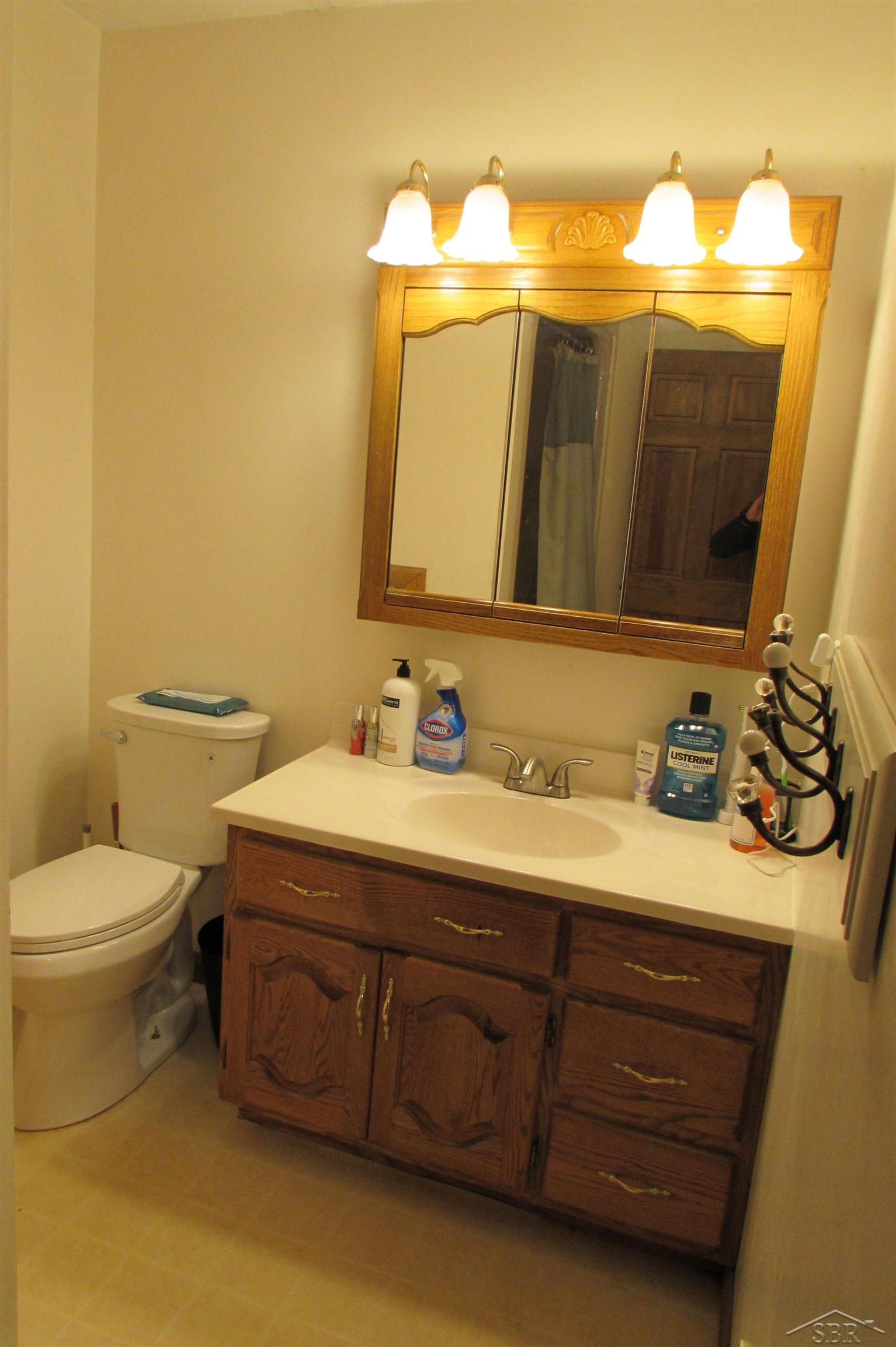13199 Dempsey Road St. Charles, MI 48655 - Photo 32 of 61