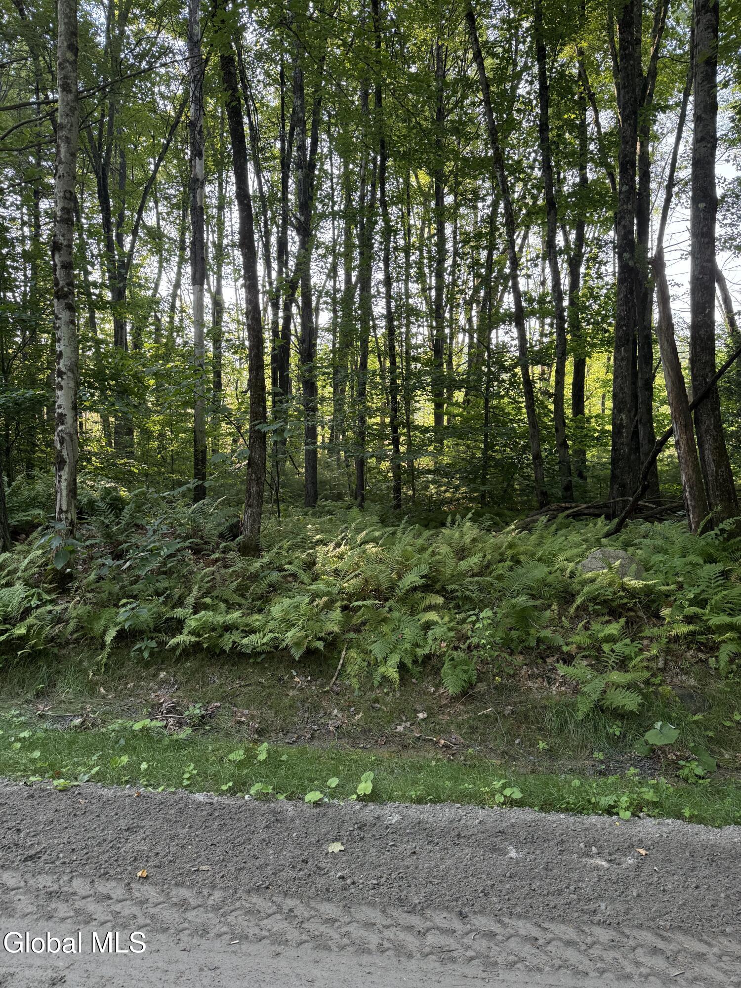 354 Dickinson Hill Road Bolton, NY 12824 - Photo 2 of 4 Lot 5 Road