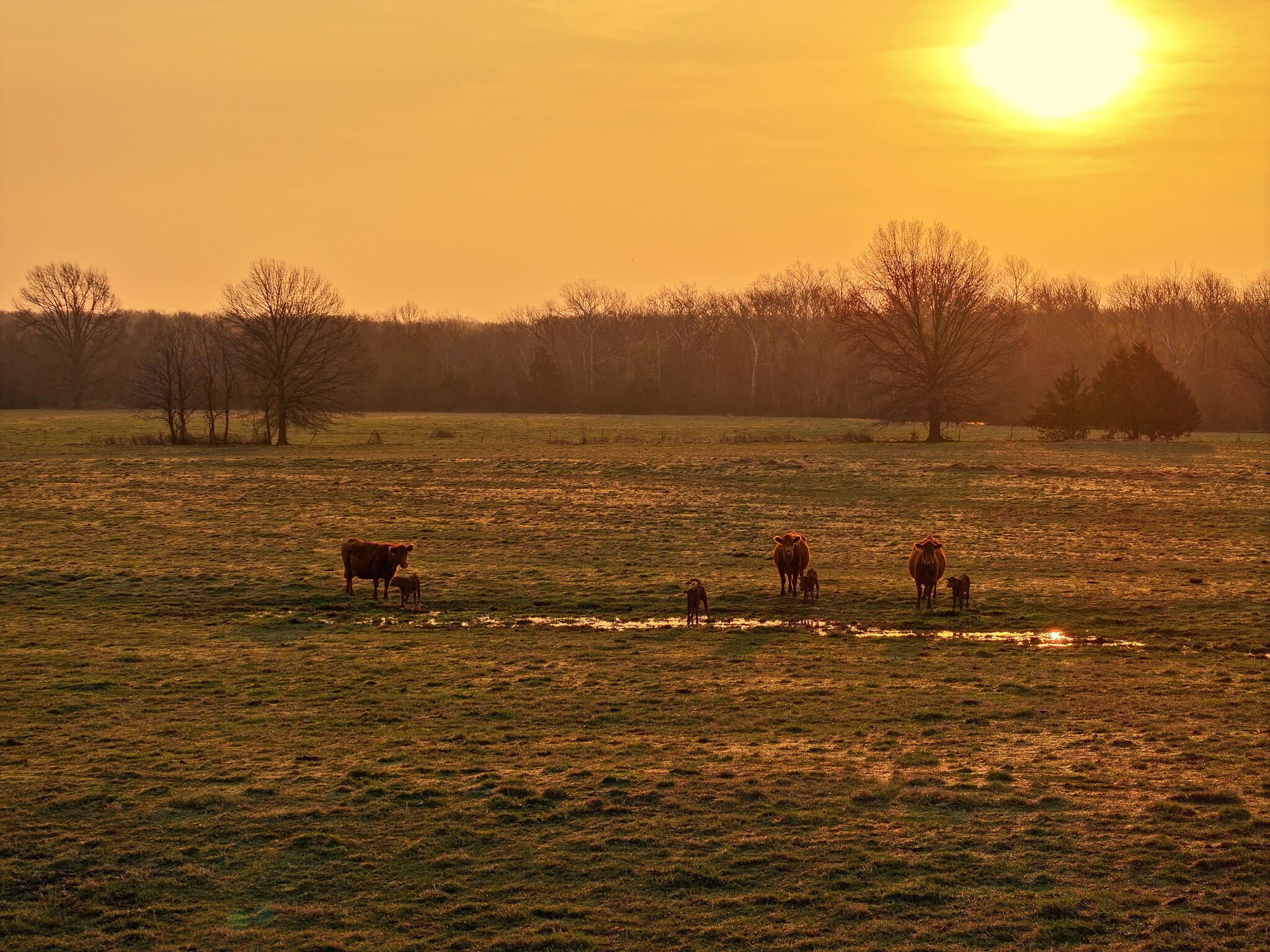 13585 County Rd AA Walker, MO 64790 - Photo 25 of 83 DJI_20260310211212_0282_D