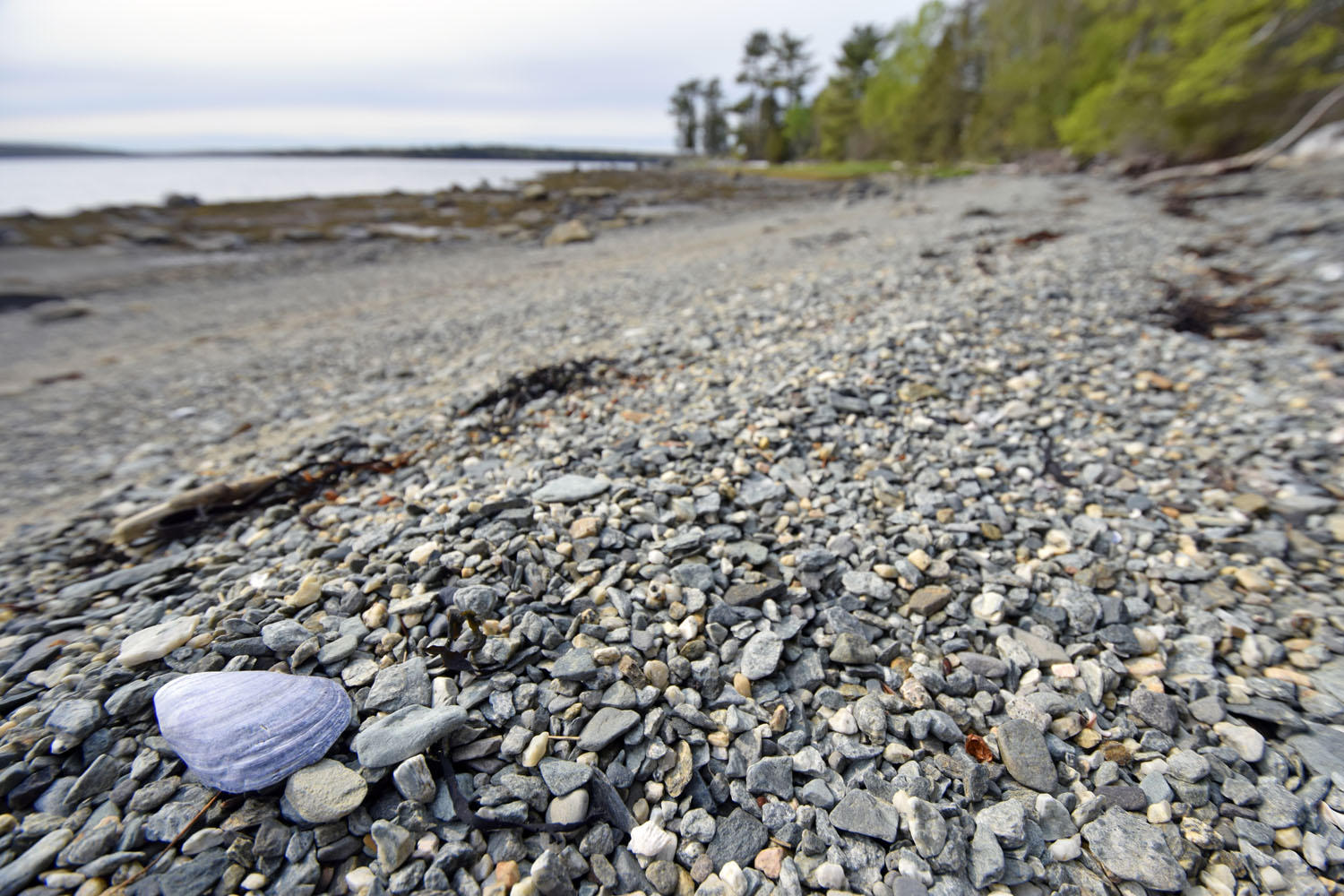 827 Bayside Road Ellsworth, ME 04605 - Photo 20 of 82 shore 10