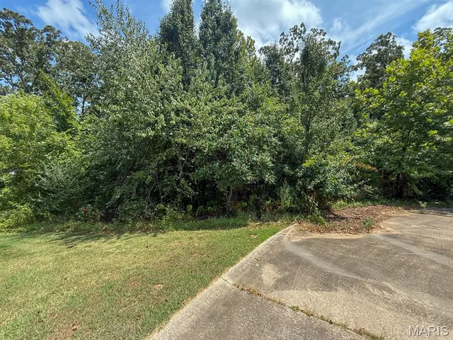 $31,410 | Tbd Renee Lane, Poplar Bluff, MO 63901