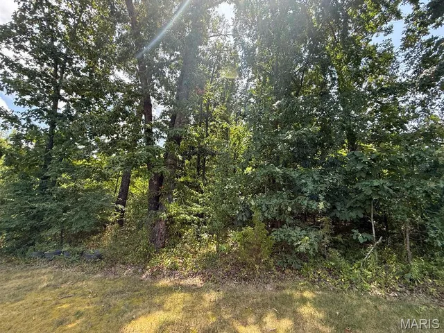 $31,410 | Tbd Renee Lane, Poplar Bluff, MO 63901