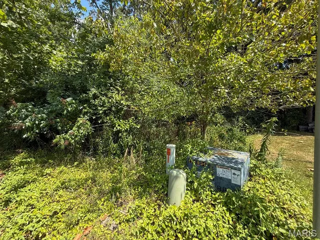 $31,410 | Tbd Renee Lane, Poplar Bluff, MO 63901