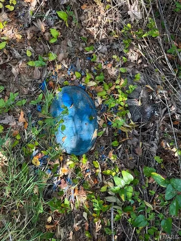 $31,410 | Tbd Renee Lane, Poplar Bluff, MO 63901