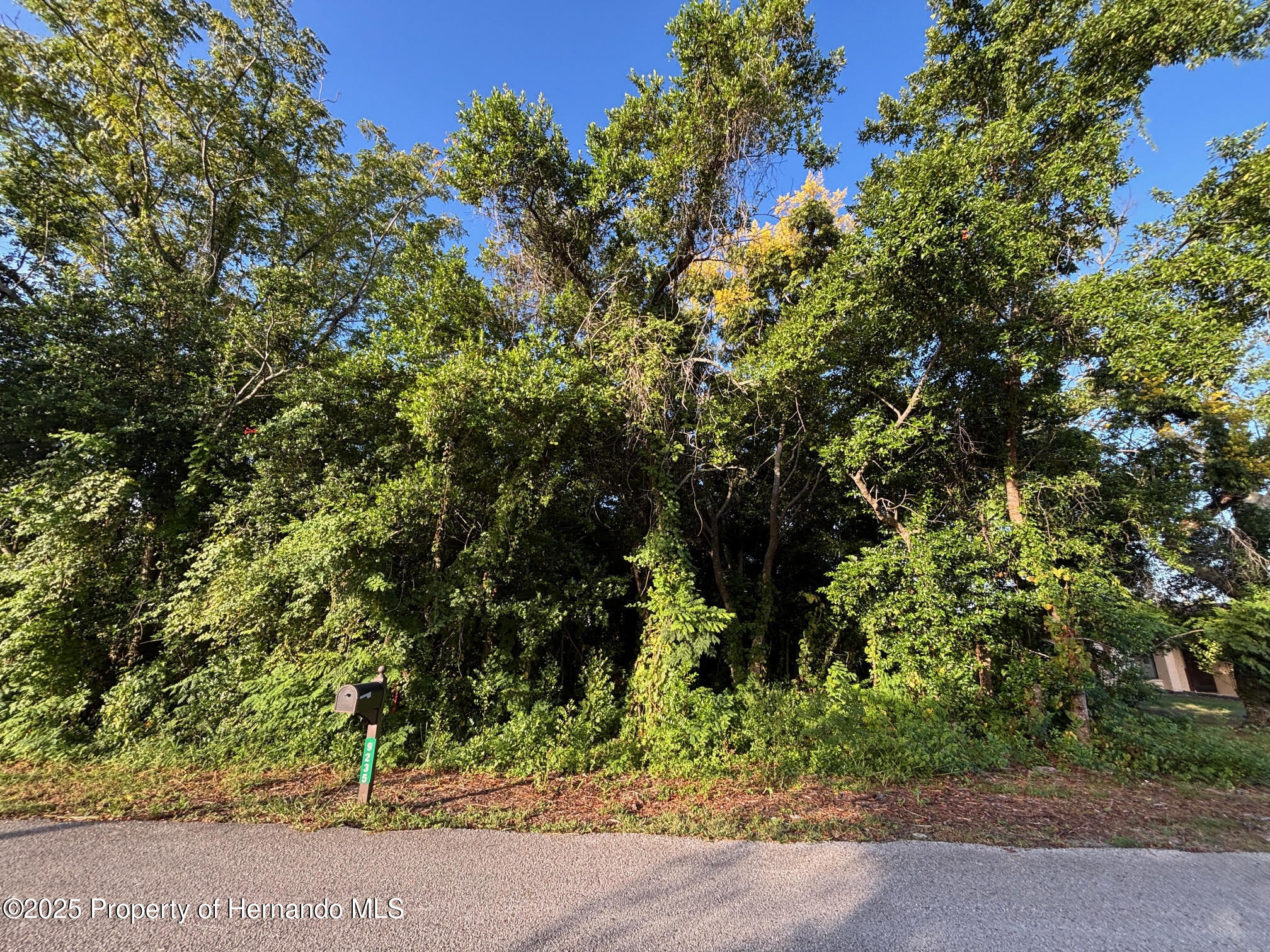 Lot 5 Manchester Street Spring Hill, FL 34607 - Photo 3 of 6