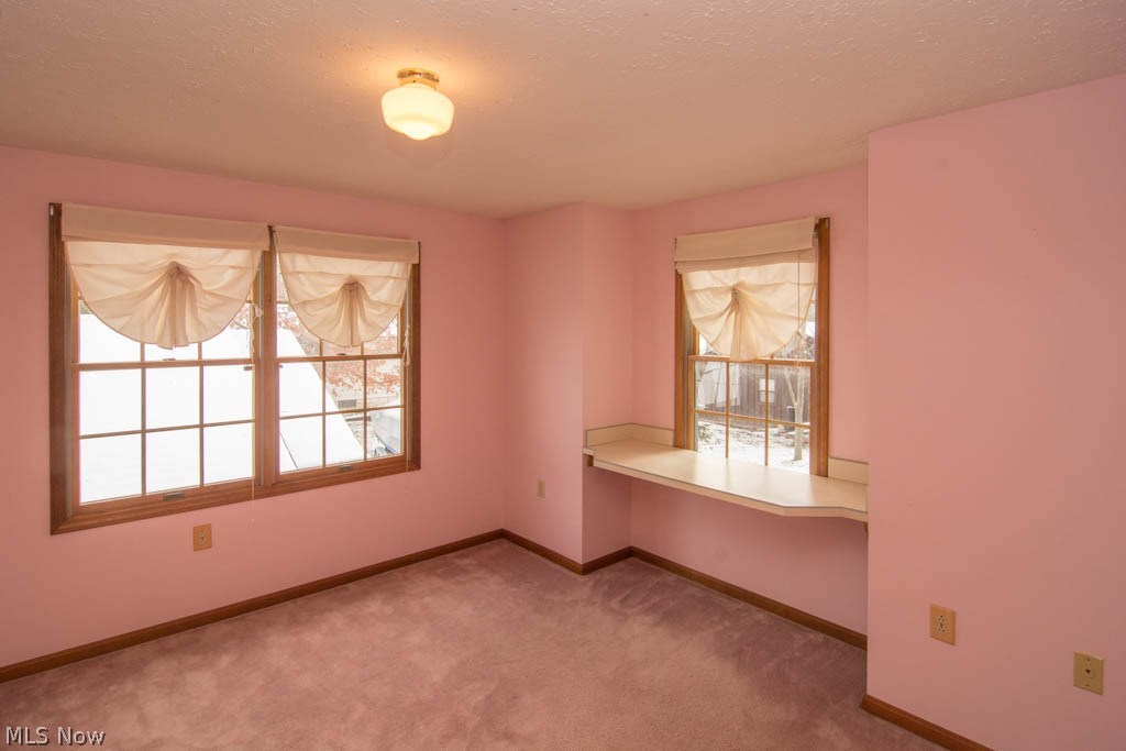 48730 Russia Road Amherst, OH 44001 - Photo 21 of 24 Gallery Image 21