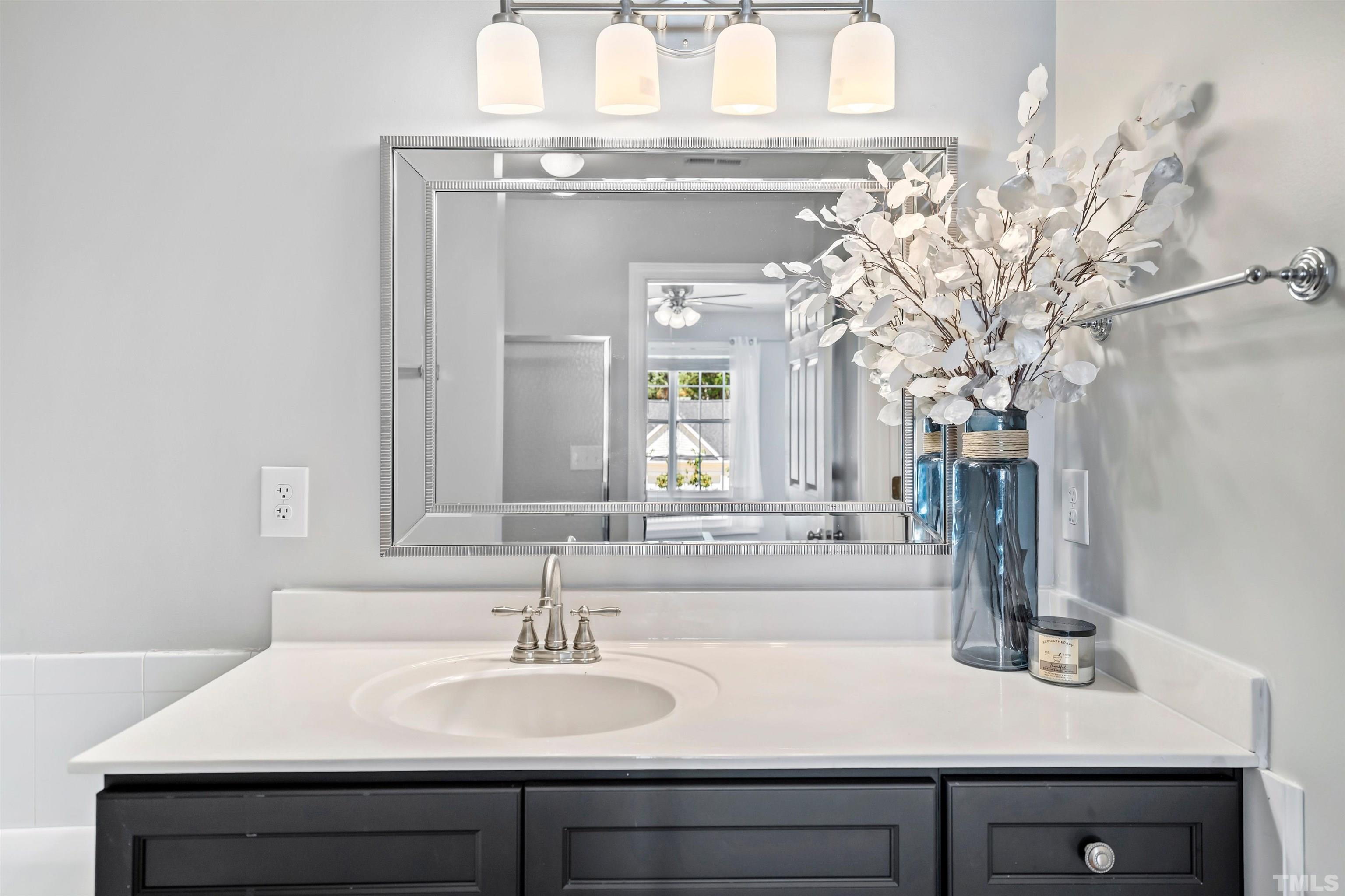 3012 White Cloud Circle Apex, NC 27502 - Photo 17 of 31 a bathroom with a sink vanity and a mirror