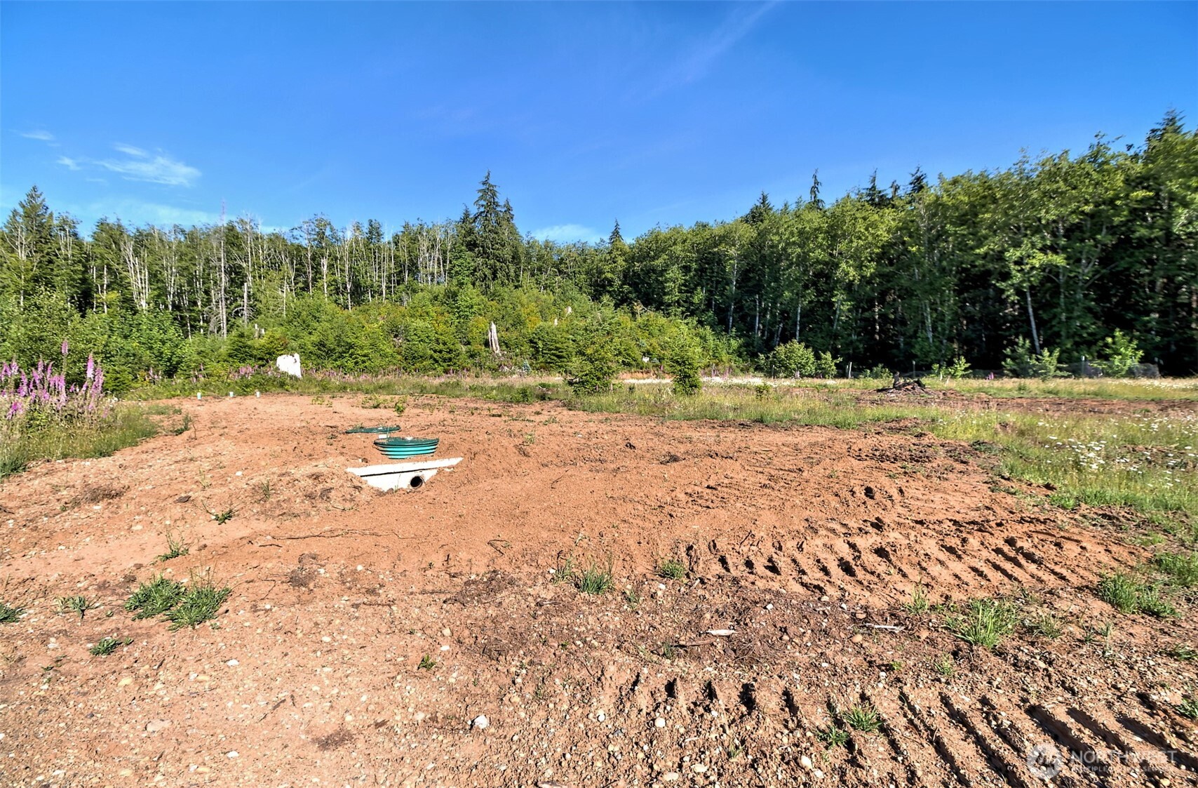434 West Bulb Farm Road Shelton, WA 98584 - Photo 24 of 24 Gallery Image 24