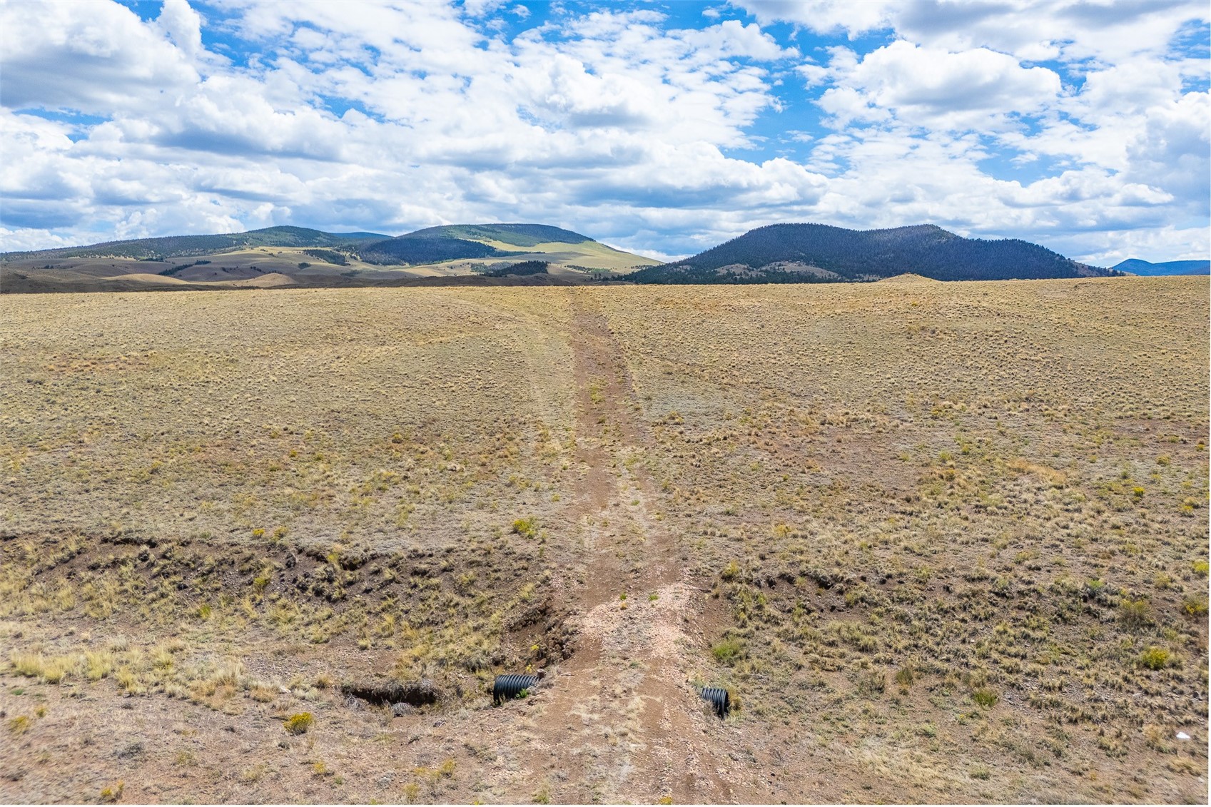 700 Easton Road Hartsel, CO 80449 - Photo 4 of 21 Gallery Image 4