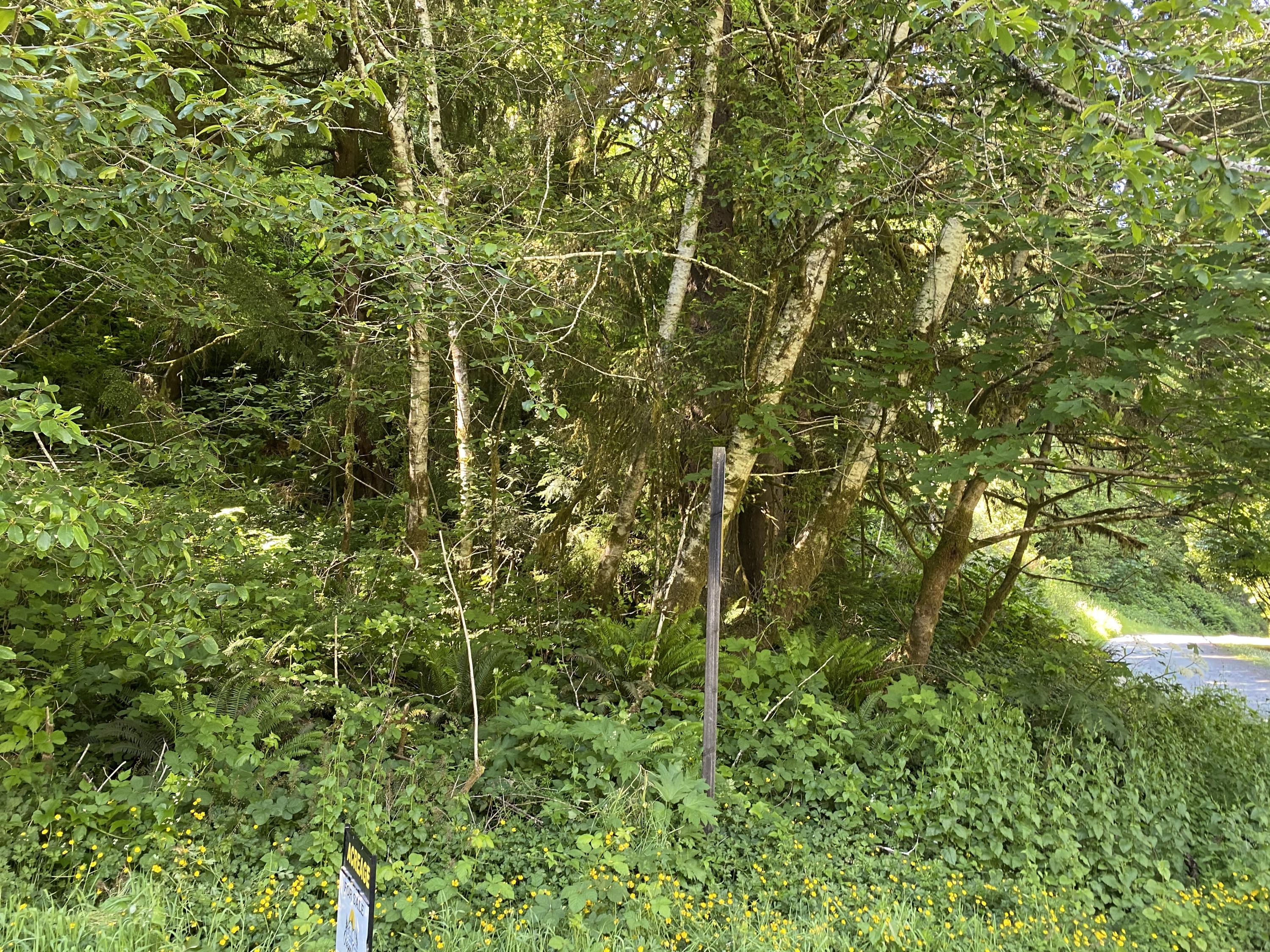 West Point Drive Nehalem, OR 97131 - Photo 6 of 19 Photo Jun 09, 4 20 17 PM