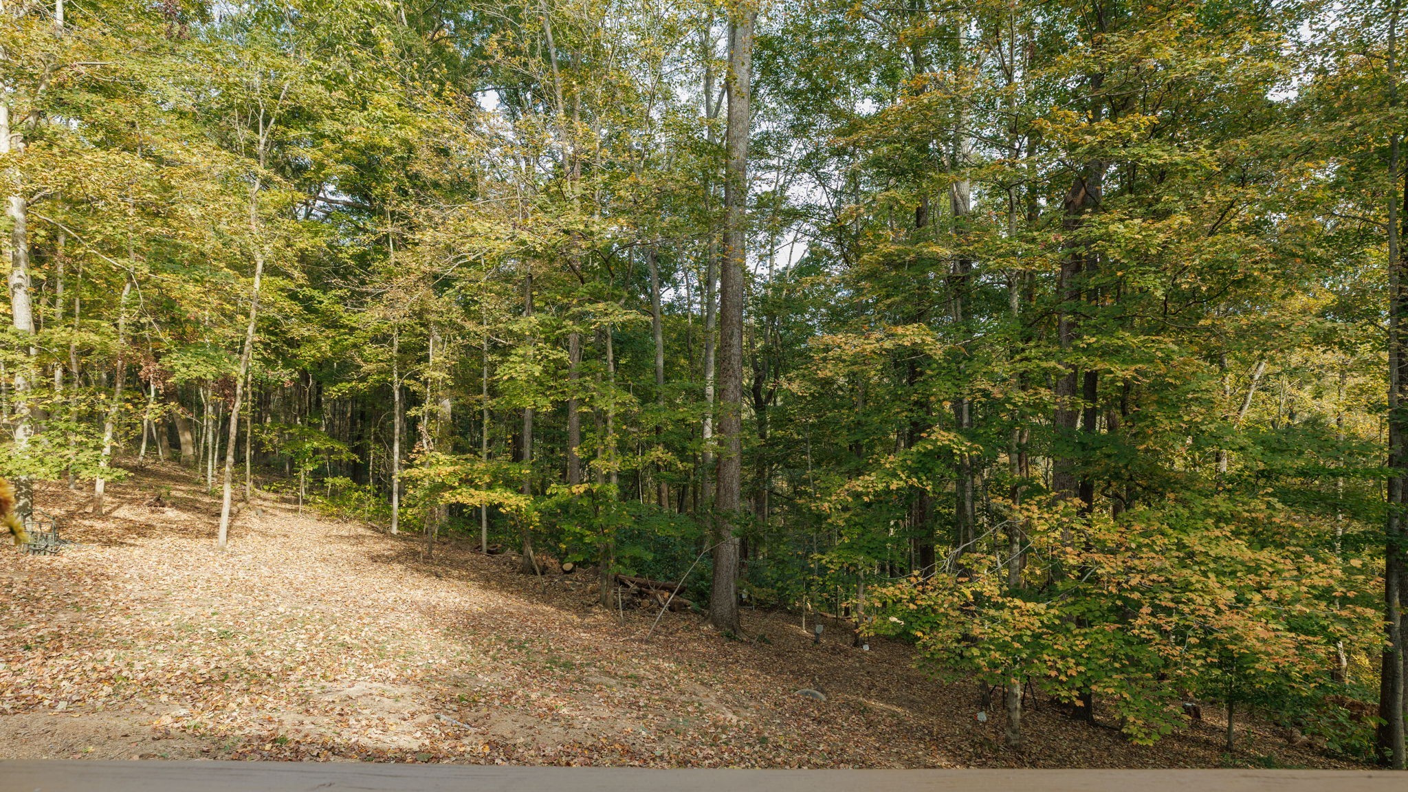 3575 Tyree Springs Road Hendersonville, TN 37075 - Photo 49 of 57