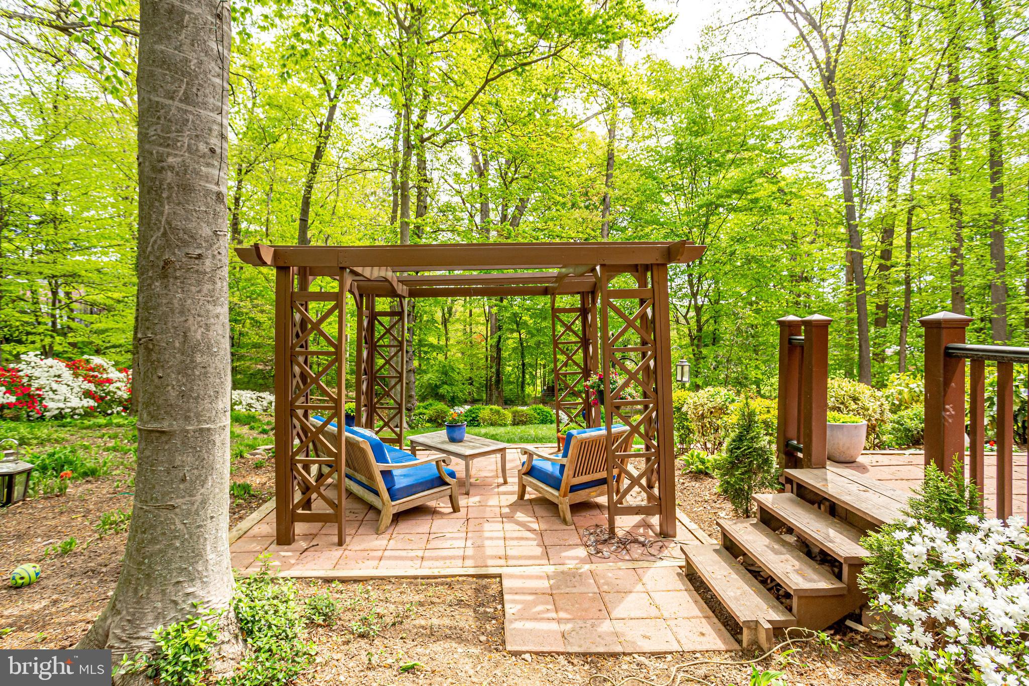 7221 Pyle Road Bethesda, MD 20817 - Photo 4 of 58