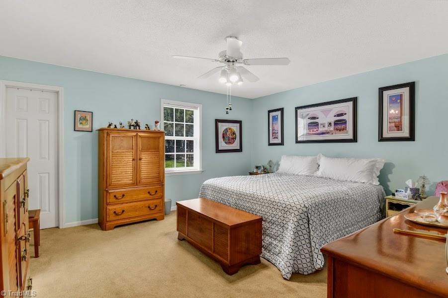 1796 Spring Path Trail Clemmons, NC 27012 - Photo 7 of 13 Primary Bedroom