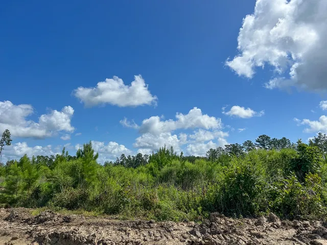 $481,250 | 3 Highway 63 Burkeville Tx 75932, Wiergate, TX 75977