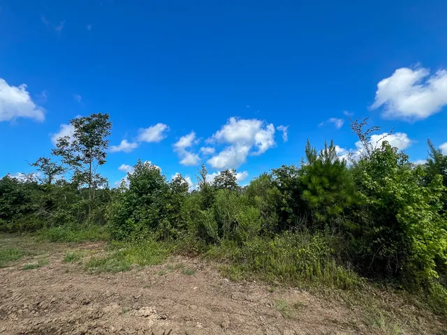 $481,250 | 3 Highway 63 Burkeville Tx 75932, Wiergate, TX 75977