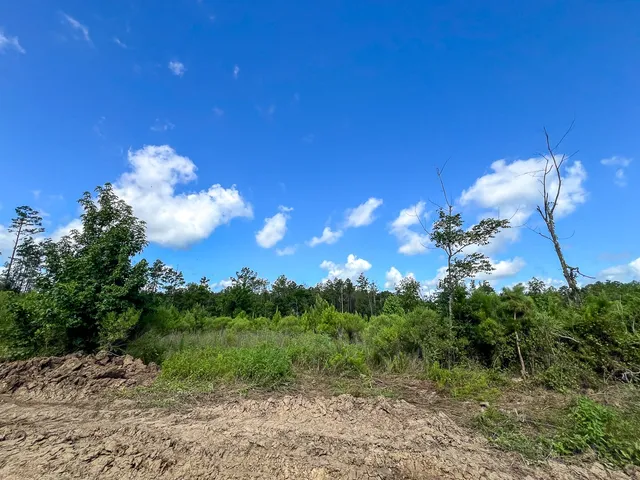 $481,250 | 3 Highway 63 Burkeville Tx 75932, Wiergate, TX 75977