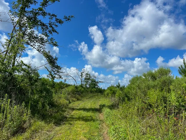 $481,250 | 3 Highway 63 Burkeville Tx 75932, Wiergate, TX 75977