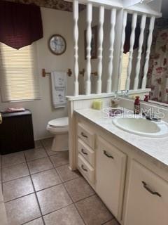 1211 Apache Circle Tavares, FL 32778 - Photo 6 of 9 a bathroom with a sink a toilet and a mirror