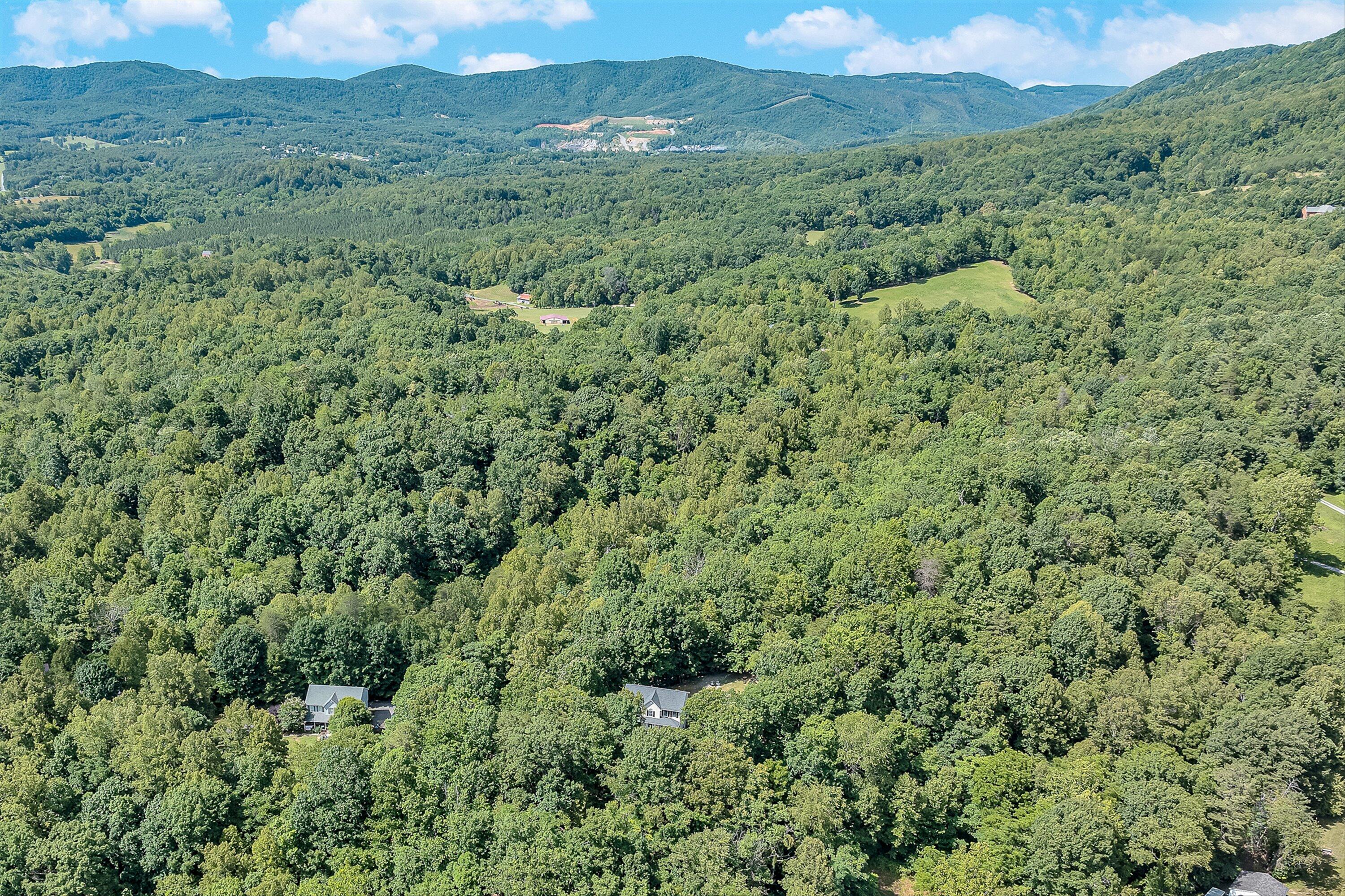 1067 Archway Road Blue Ridge, VA 24064 - Photo 41 of 44 43-VM-0830
