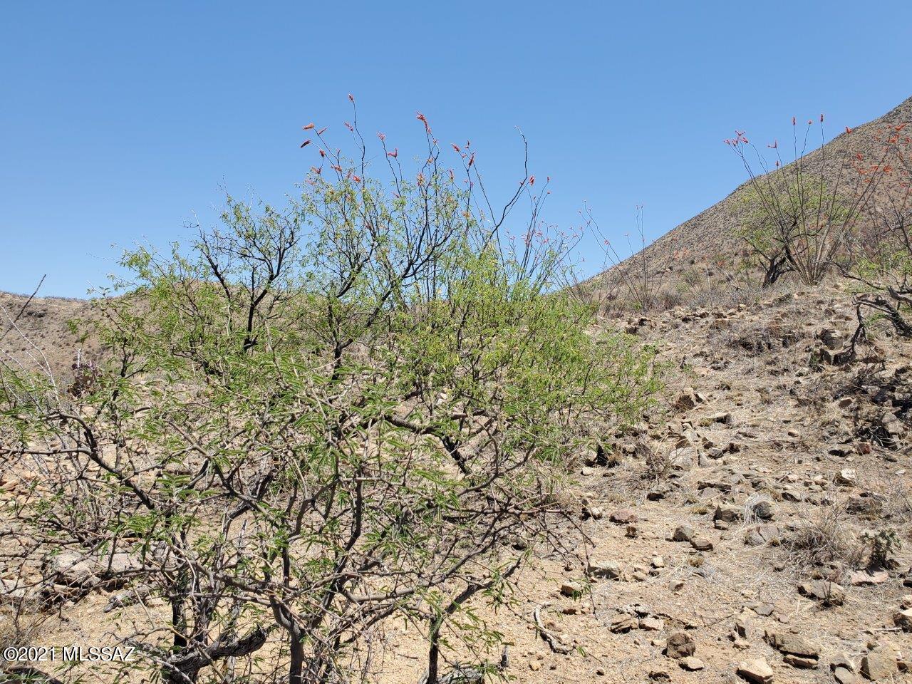 1695 Vía San Cayetano, Unit 7 Rio Rico, AZ 85648 - Photo 25 of 36