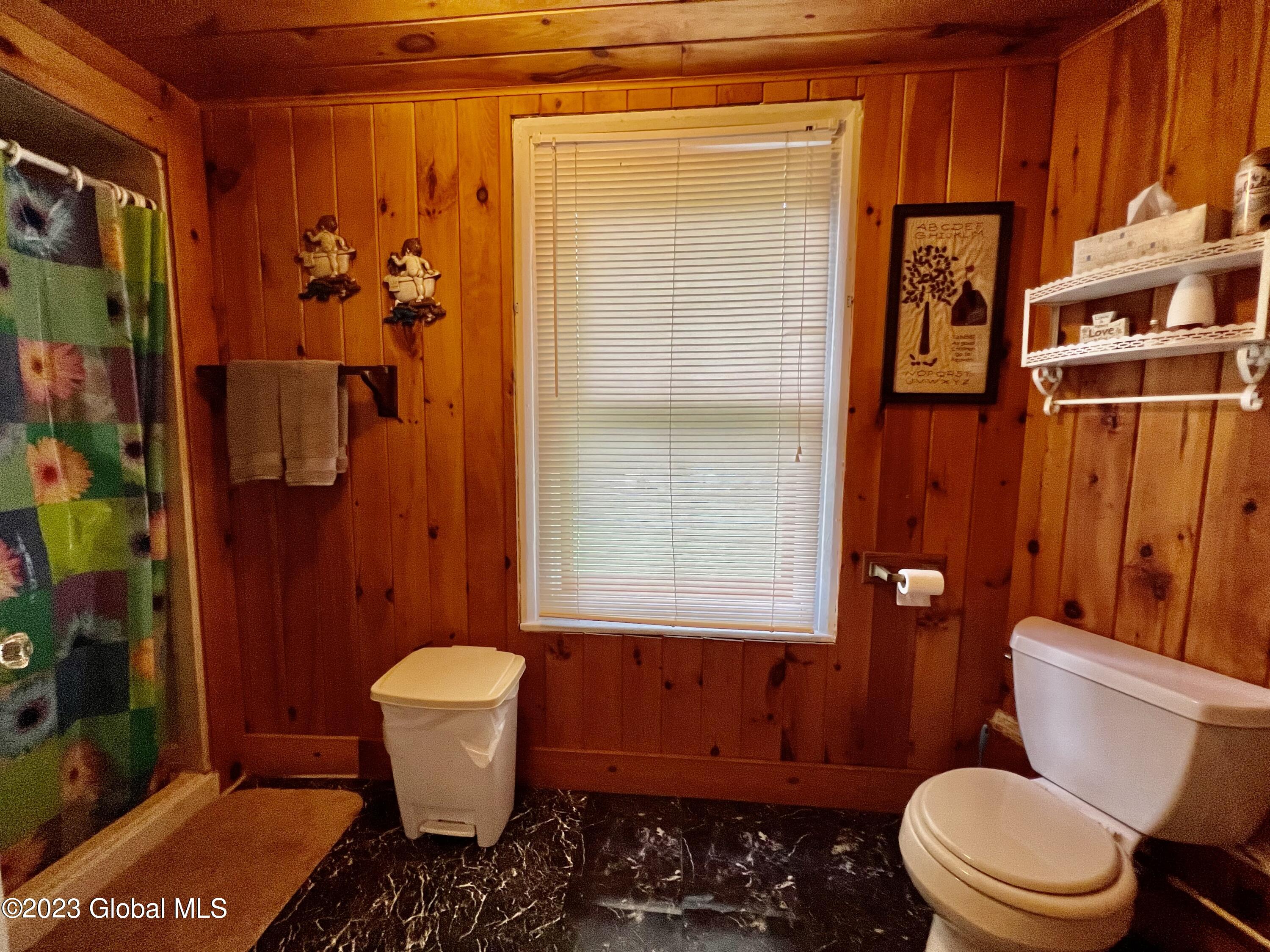 704 Schoolhouse Way Jackson, NY 12816 - Photo 27 of 59 IMG_E9987