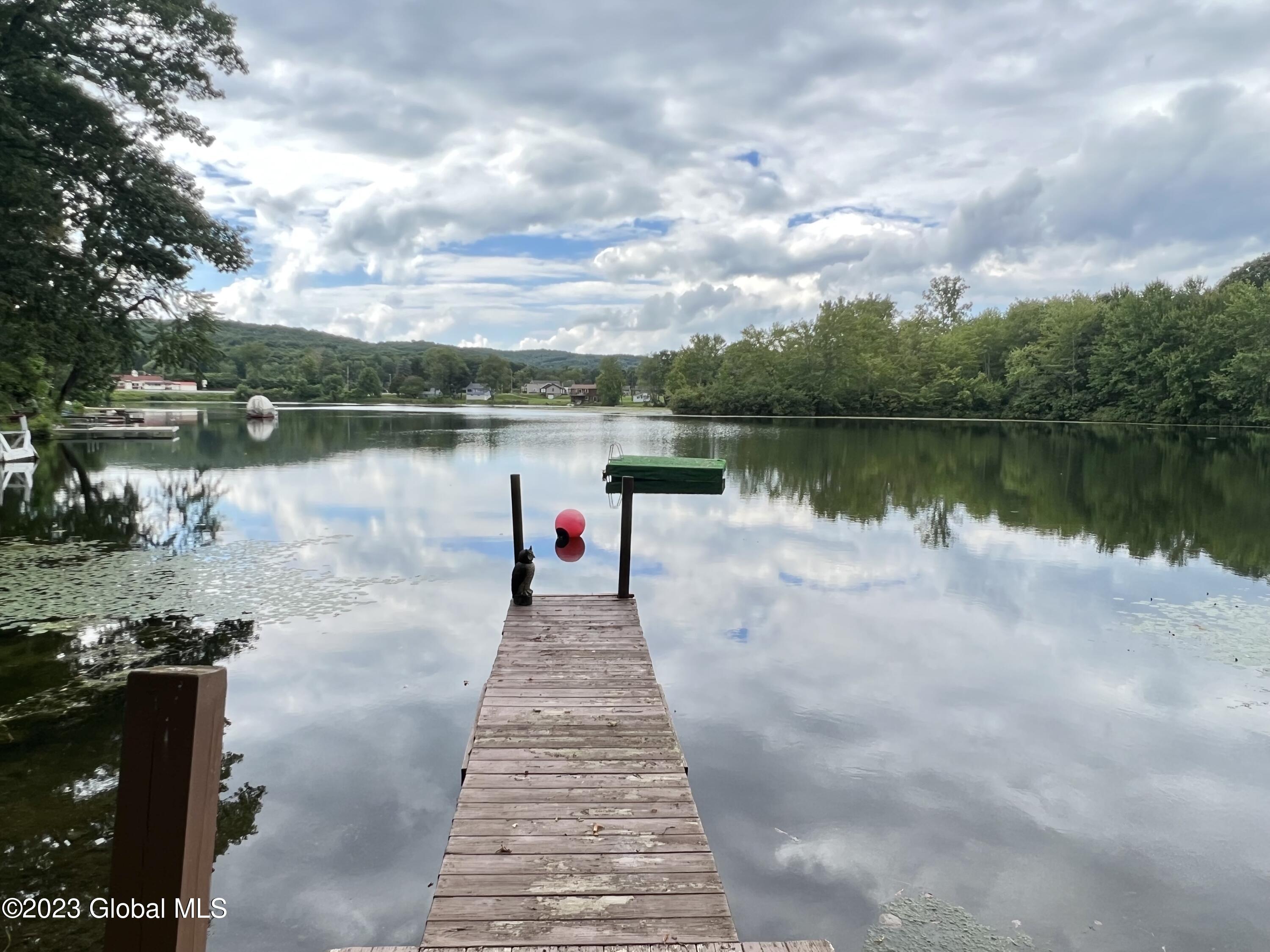 704 Schoolhouse Way Jackson, NY 12816 - Photo 32 of 59 IMG_E9967