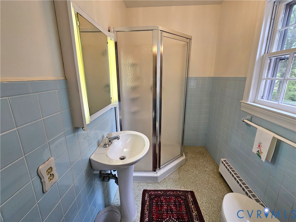 3271 Rosney Road Dillwyn, VA 23936 - Photo 29 of 45 a bathroom with a sink a toilet and shower