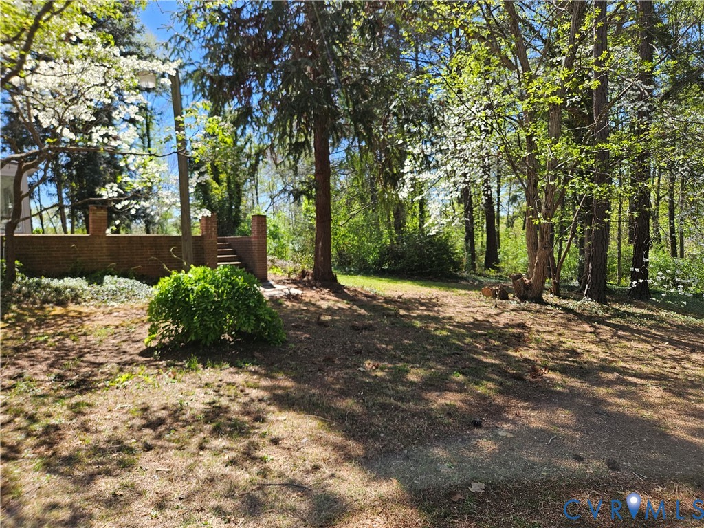 3271 Rosney Road Dillwyn, VA 23936 - Photo 40 of 45 a view of a yard with plants and tree
