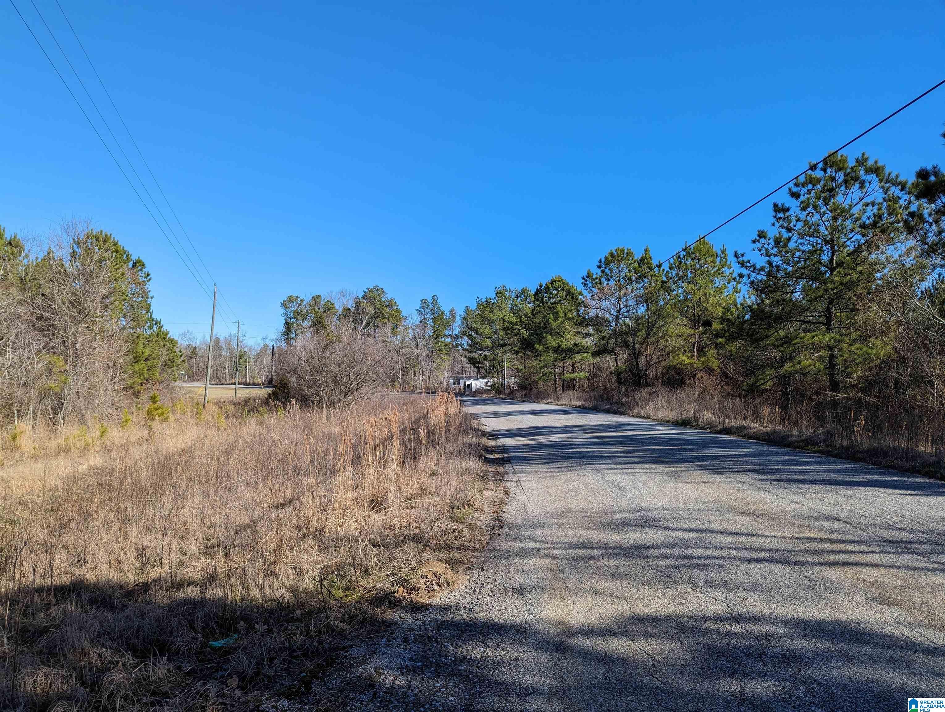 0 Chandler Springs Road Talladega, AL 35160 - Photo 33 of 35