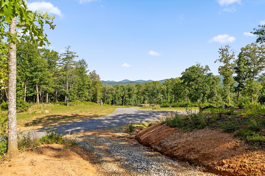 Lot 85 Split Creek Road Morganton, GA 30560 - Photo 9 of 23