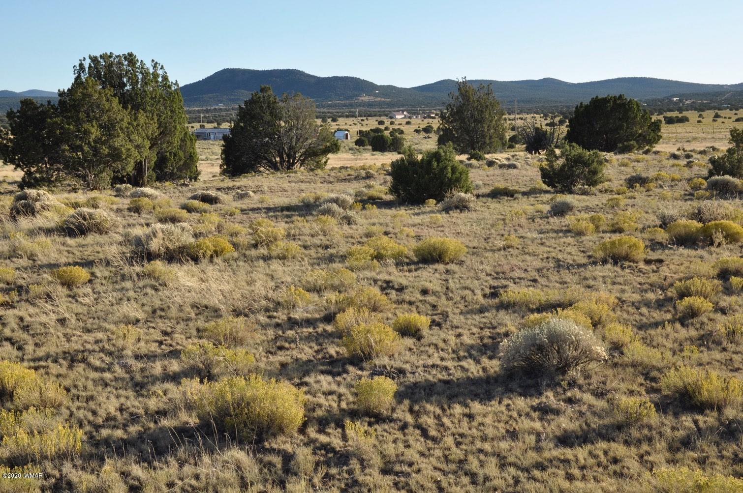 61 Concho Valley Concho, AZ 85924 - Photo 1 of 13 a view of a mountain in the distance