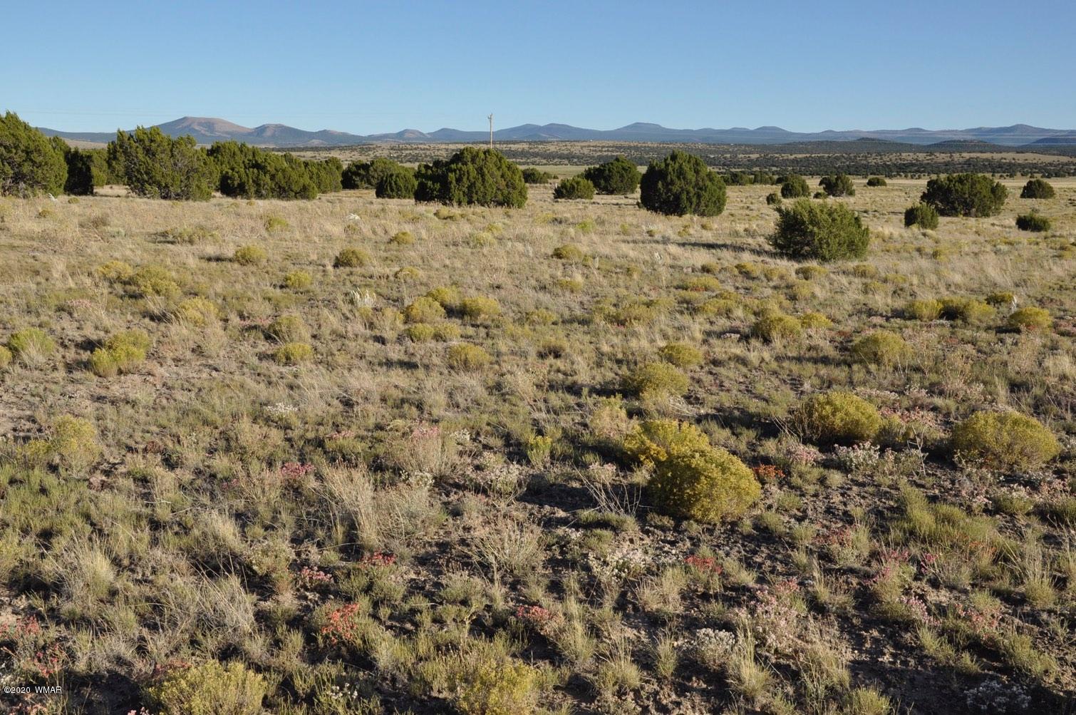 61 Concho Valley Concho, AZ 85924 - Photo 11 of 13 a view of ocean and mountain