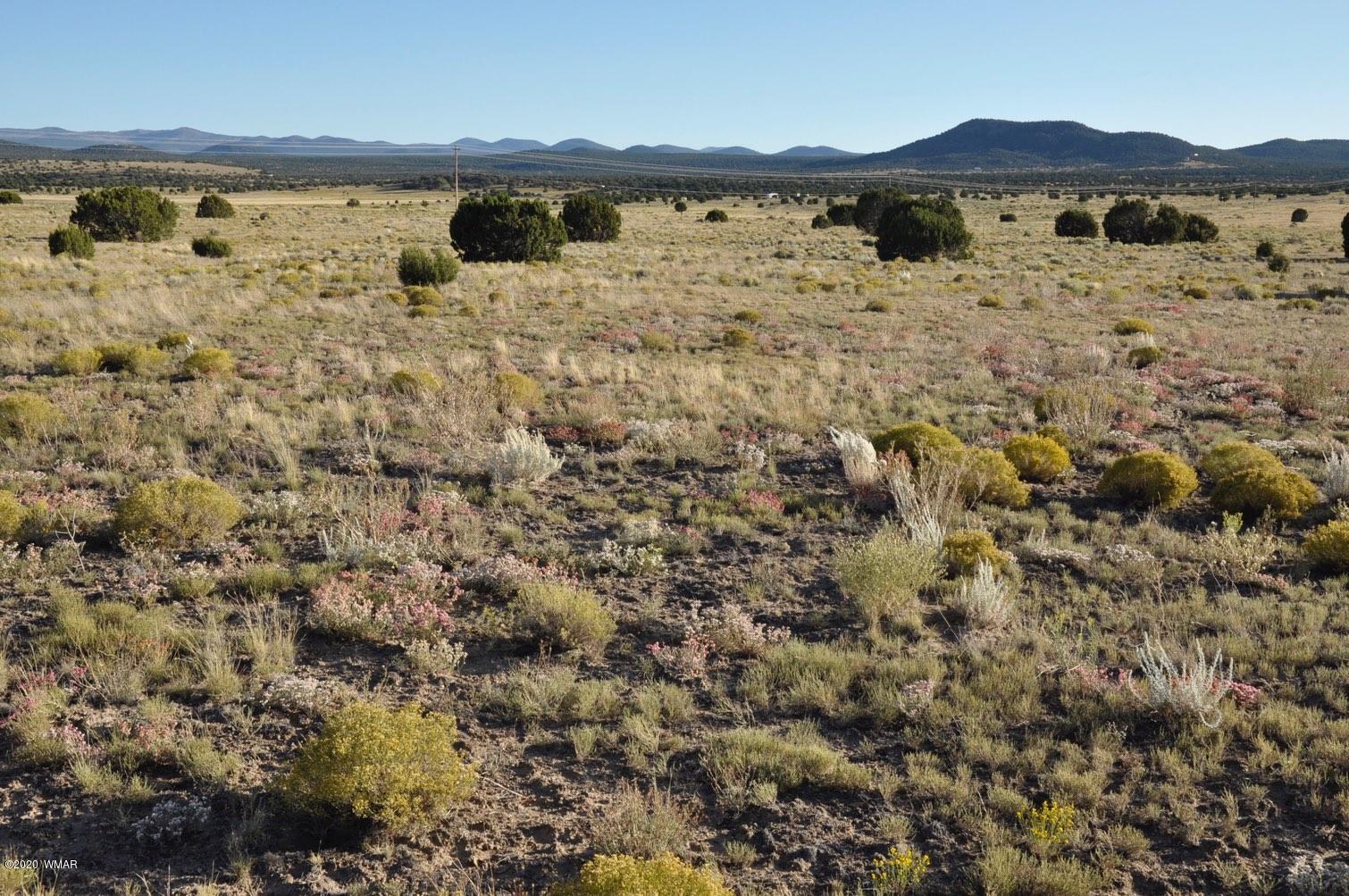 61 Concho Valley Concho, AZ 85924 - Photo 12 of 13 a view of lake view and mountain view