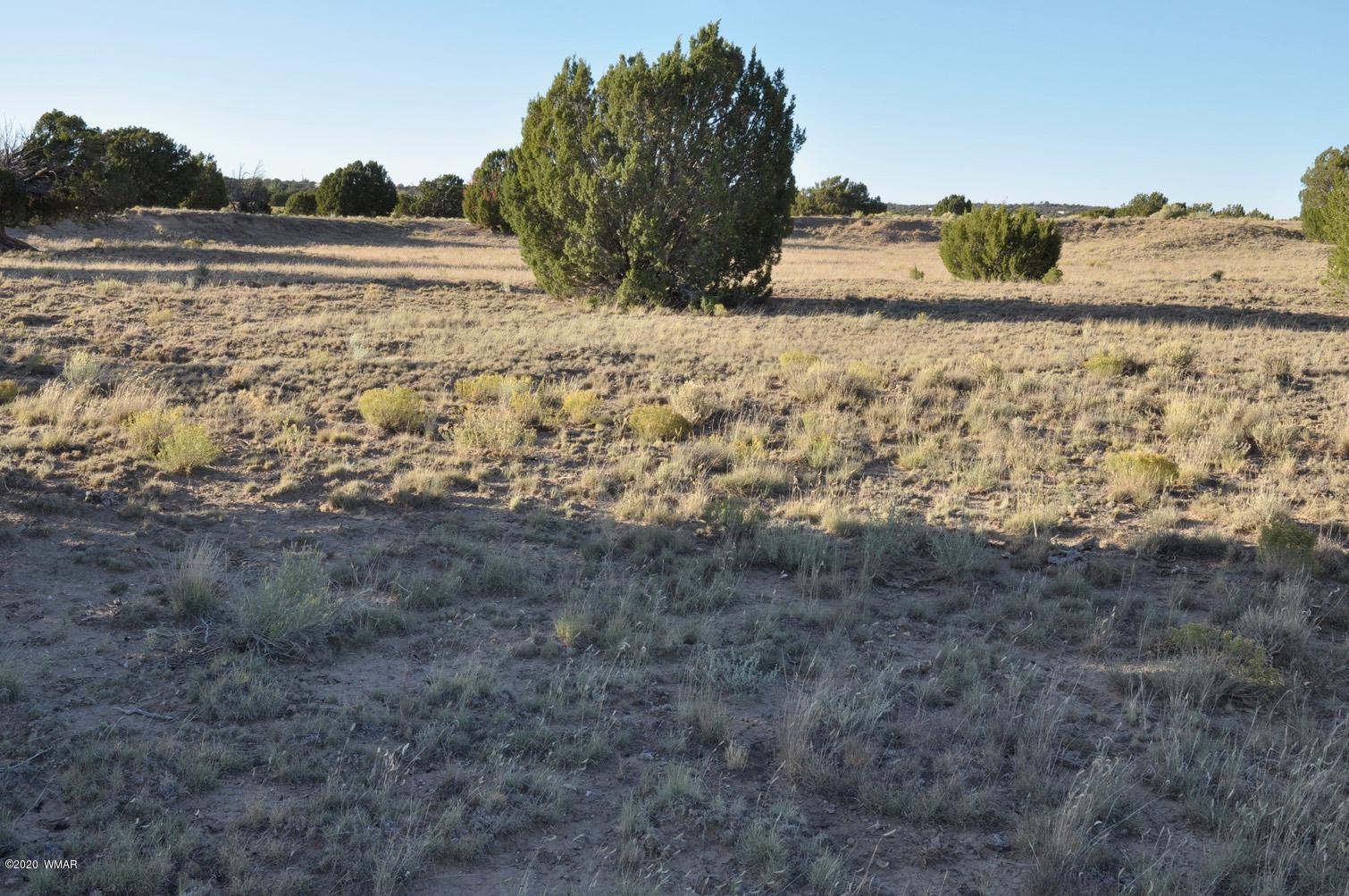 61 Concho Valley Concho, AZ 85924 - Photo 13 of 13 a view of lake view and mountain view