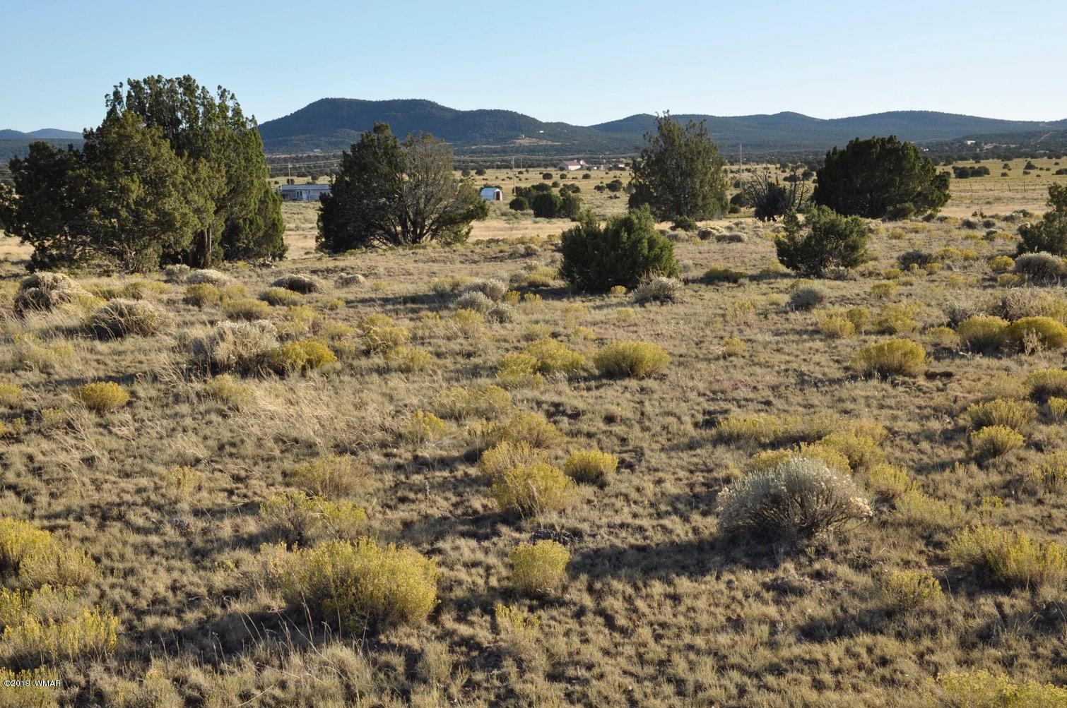61 Concho Valley Concho, AZ 85924 - Photo 2 of 13 a view of a mountain with a tree in the background