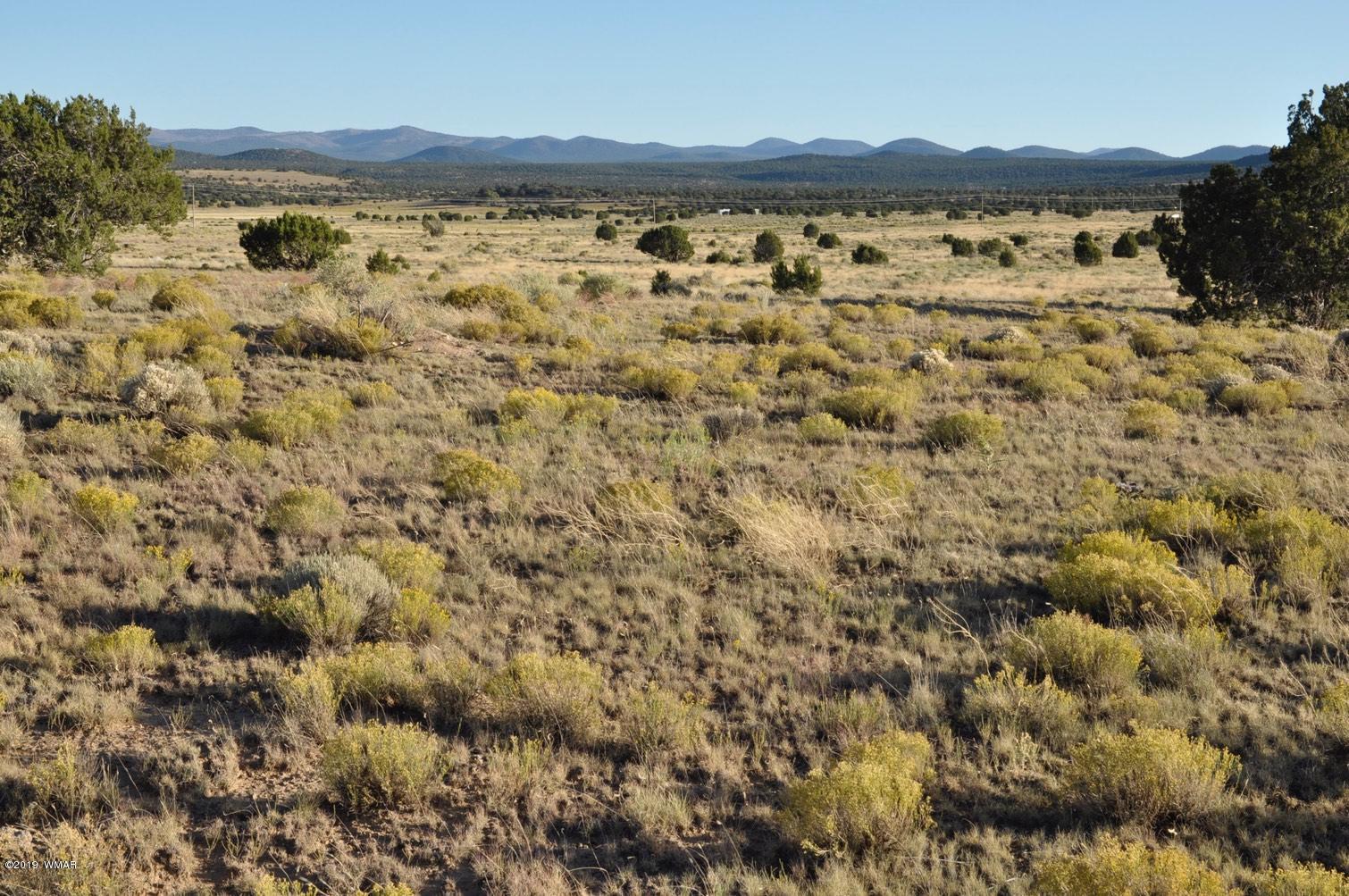 61 Concho Valley Concho, AZ 85924 - Photo 3 of 13 a view of lake and mountain