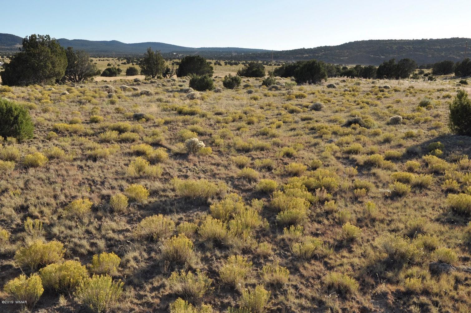 61 Concho Valley Concho, AZ 85924 - Photo 4 of 13 a view of mountain with lake view