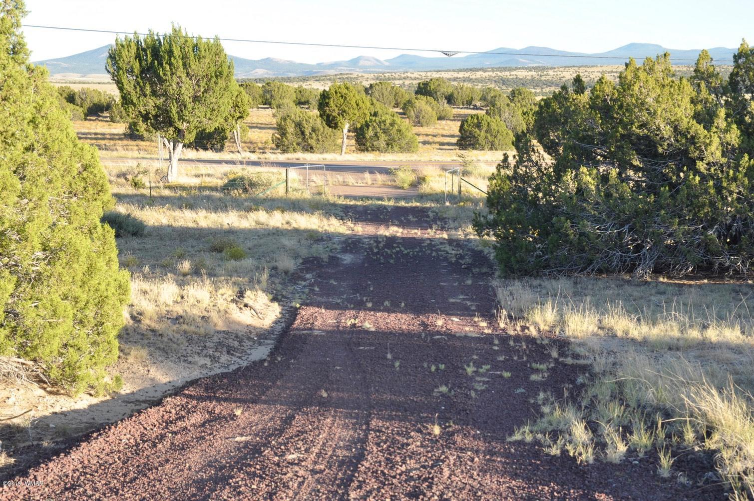 61 Concho Valley Concho, AZ 85924 - Photo 6 of 13 a view of a lake from a yard