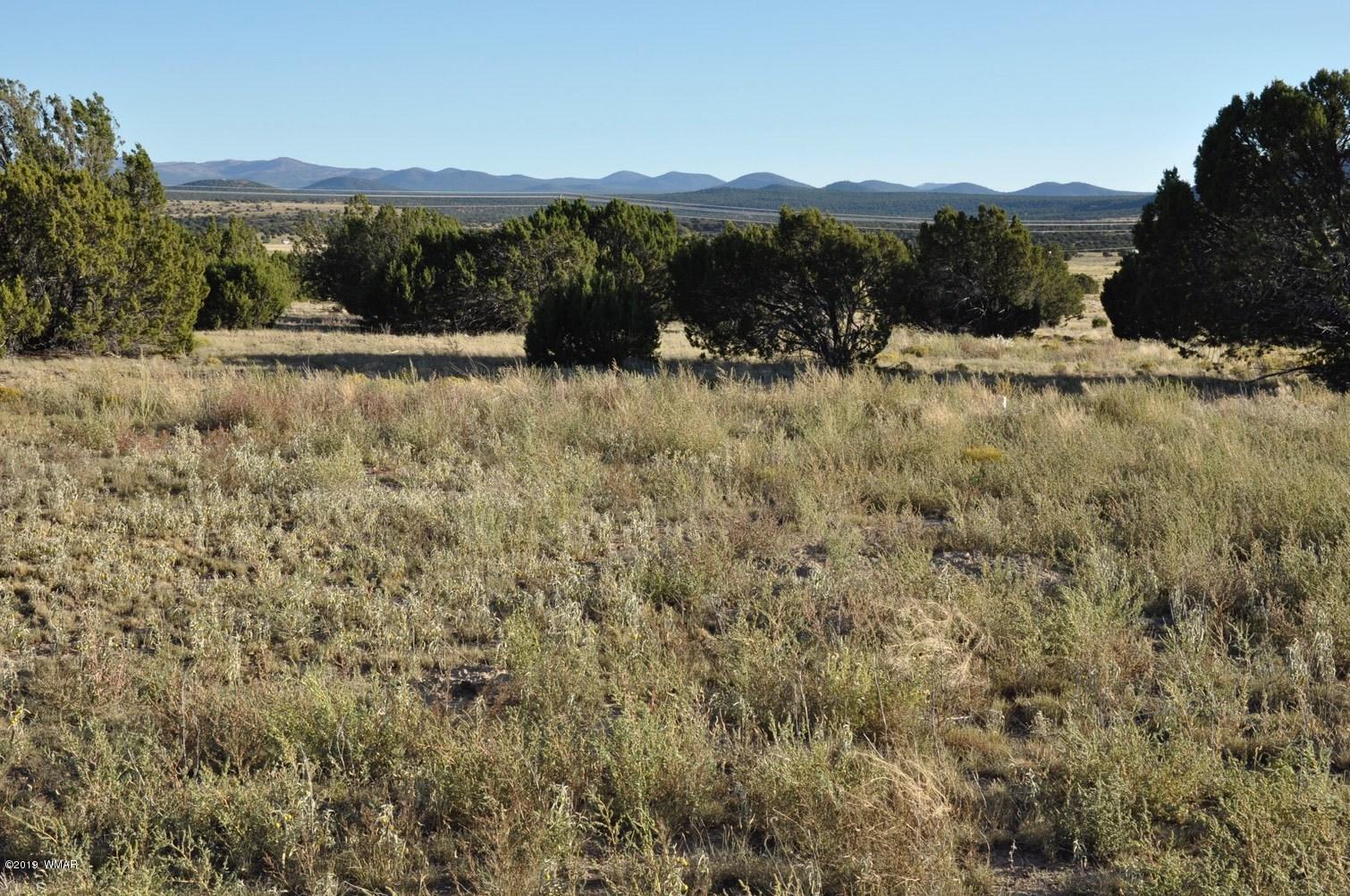 61 Concho Valley Concho, AZ 85924 - Photo 7 of 13 a view of a town with mountains in the background