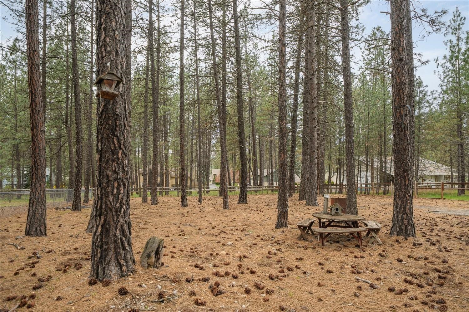 18011 North Saddle Hill Road Colbert, WA 99005 - Photo 38 of 49