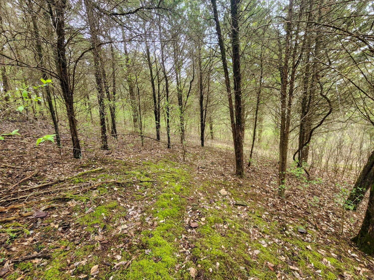 19989 Meades Ridge Road Patriot, IN 47038 - Photo 12 of 16
