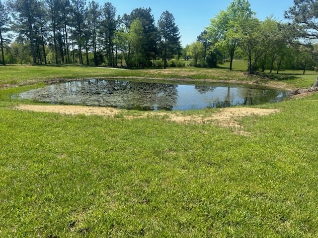 1386 Eno Road Dickson, TN 37055 - Photo 45 of 59 a view of a green field