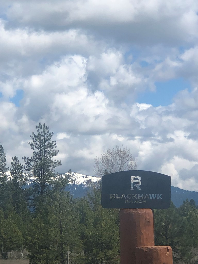 Tbd Bitterroot Court, Unit 20 McCall, ID 83638 - Photo 3 of 19