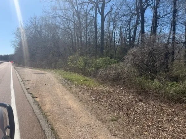 $60,000 | 8 Hwy 22a Highway, Jacks Creek, TN 38347