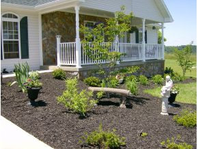 6050 Jones Bridge Road Greeneville, TN 37743 - Photo 8 of 11 Landscaping in Front
